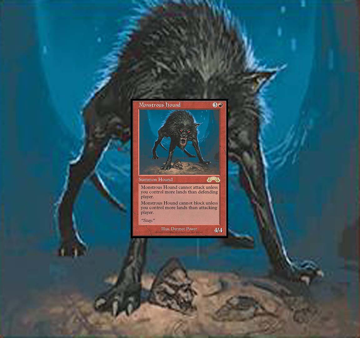 CT-Hairy Dog Wallpaper